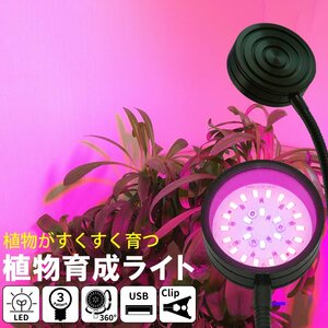 植物育成ライト USB-Type LED 24個 LED 12W ３色点灯 ブルー レッド ピンク 植物 育つ ライト 植物育成 観葉植物 多肉植物 水耕栽培