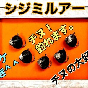 天然ジジミルアー5個！オマケ付き^ ^