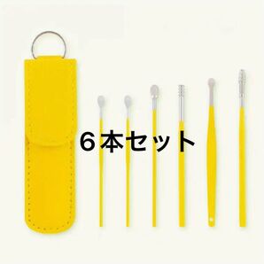 【新品未使用】耳掻き6本セット☆ケース付き☆コンパクトサイズ☆携帯用☆ステンレス製