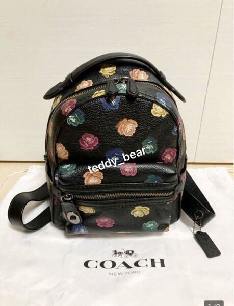 希少 レア 美品 コーチ COACH バックパック 23 ウィズ ローズ プリント リュック 限定 レインボー カラフル 花