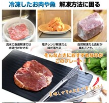 解凍マスターキッチンガジェット キャンプ用の早期解凍トレイ 冷凍食品および肉 果物の素早い解凍プレートボード Mサイズ_画像6