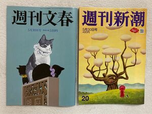 [908] 週刊新潮 週刊文春 5月30日号 2冊セット