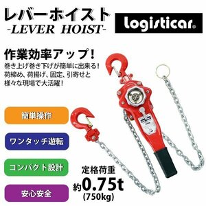 送料無料 レバーホイスト チェーンブロック 定格荷重約0.75t 約750kg 標準揚程約1.5m 荷締め 荷揚げ 引寄せ 固定 建築 運搬 土木 災害復旧