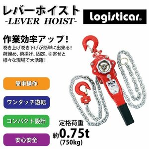 送料無料 レバーホイスト チェーンブロック 定格荷重約0.75t 約750kg 標準揚程約3m 荷締め 荷揚げ 引寄せ 固定 建築 運搬 土木 災害復旧