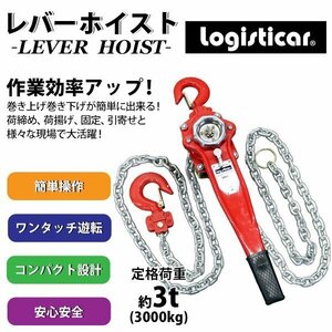 送料無料 レバーホイスト チェーンブロック 定格荷重約3t 約3000kg 標準揚程約3m 荷締め 荷揚げ 引寄せ 固定 建築 運搬 土木 災害復旧