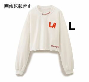 vintage ヴィンテージ レトロ ロゴ スウェット トレーナー トップス Lサイズ レディース★ZARA 好きな方に★2024 S/S 春新作 新品未使用★