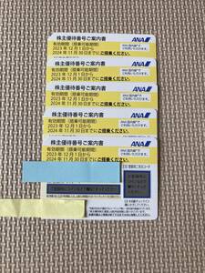 ANA株主優待券　5枚セット普通郵便無料　2023/12/1〜2024/11/30
