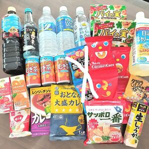 【食品詰め合わせ】ペットボトル ジュース コーヒー　お菓子 調味料 レトルト食品　