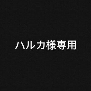 再発送 カブトムシカードホルダー