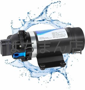 高圧ポンプ 加圧ポンプ 給水 排水ポンプ ダイヤフラムポンプ 電動ウォーターポンプ 最大揚程110ｍ 160PSI 低騒音 車用 50HZ (220V)