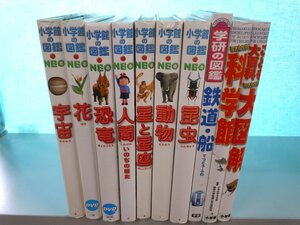 [ illustrated reference book ]{ together 10 point set } Shogakukan Inc.. illustrated reference book NEO/ Kids petia large illustration / Gakken. illustrated reference book / insect / animal / human / star . star seat / dinosaur other 