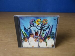 【CD】C-C-B Single Collection