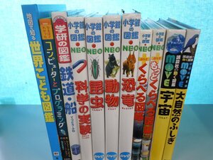 [ illustrated reference book ]{ together 11 point set }.. company move illustrated reference book Move/ Shogakukan Inc.. illustrated reference book NEO/.... illustrated reference book / insect / dinosaur / railroad * boat / large nature. ... other 