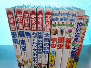 [ illustrated reference book ]{ together 11 point set } Gakken. illustrated reference book / Shogakukan Inc.. illustrated reference book NEO/.... illustrated reference book / World Heritage .... inspection large illustrated reference book / insect / dinosaur other 