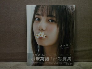 【写真集】『君は誰? : 小坂菜緒〈日向坂46〉1st写真集』藤原宏 撮影小坂菜緒 著 集英社