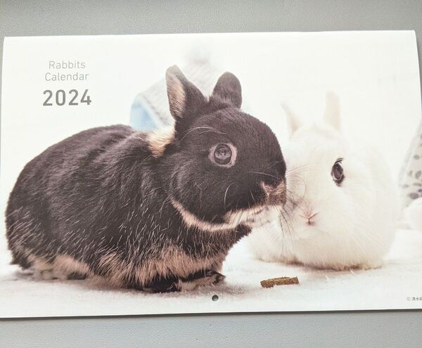 うさぎのきもち カレンダー 2024年