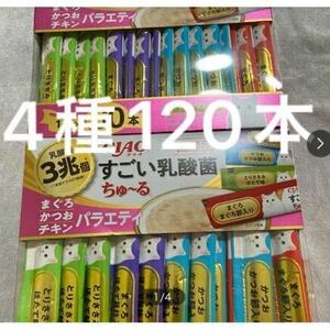 「即決4100円」いなば　チャオ　すごい乳酸菌　ちゅ〜る　まぐろかつおチキンバラエティ　4種　14g×120本　ちゅーる　中身のみバラ梱包