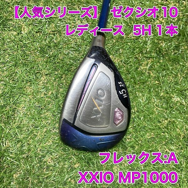 レディース　ゼクシオ10 5H ユーティリティ　ゴルフ　XXIO MP1000