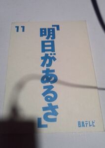 台本明日があるさ11浜田雅功、稲森いずみ、東野幸治、藤井隆