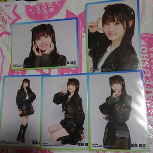 　AKB48【齋藤陽菜 チームB】netshop限定　2022.09vol.1 5枚セット　生写真 