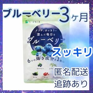 ブルーベリー　サプリメント　3ヶ月分　90粒