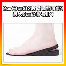 シークレットインソール 中敷き 2足分 高さ調節 フリーサイズ サイズ調整_画像2