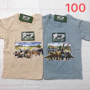 アニア アニマルアドベンチャー 半袖 Tシャツ　100センチ　2枚セット 動物　恐竜