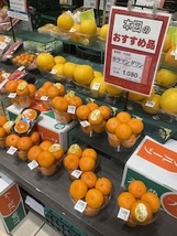 中島産の正規品はなかなかのお値段です