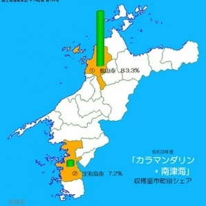 全国送料無料 越冬春みかん 参考糖度14から18度 カラマンダリン 傷が多い家庭用 箱込み5kg 21の画像6