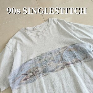 90s USA製 NORTHERN REFLECTIONS　Tシャツ シングルステッチ　熱帯魚