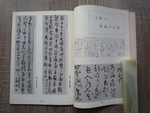 わたくしの見た 王鐸の書造形 ／ 白鞘霞洋 著 ／ 1964年（昭和39年）書道研究社_画像6