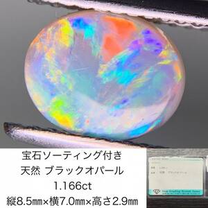 宝石ソーティング付き　 天然 ブラックオパール　1.166ct　 縦8.5×横7