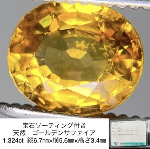 宝石ソーティング付き 天然　ゴールデンサファイア 1.324ct 縦6.7×横5.6×高さ3.4 624S