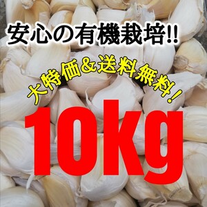[ free shipping ] 2023 year production less pesticide rose garlic 10kg garlic 10 kilo 