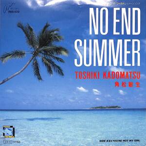 iw1019/EP/角松敏生/ノー・エンド・サマー/NO END SUMMER