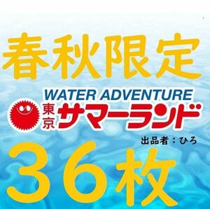 春秋限定東京サマーランド 1Dayパス　パスポート36枚