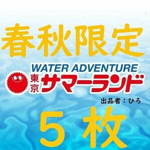 春秋限定東京サマーランド 1Dayパス　パスポート5枚