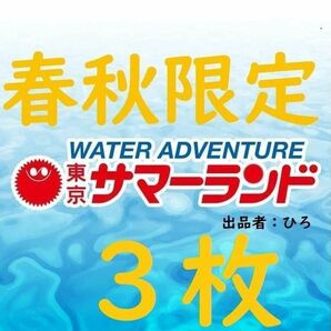 春秋限定東京サマーランド 1Dayパス　パスポート3枚