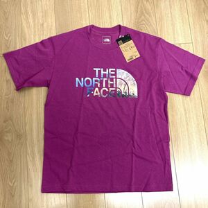 ノースフェイス　新品　メンズ　半袖Tシャツ ロゴ THE NORTH FACE