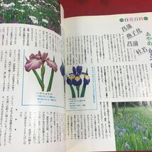 f-470※14 花のあらかると 池坊華道会会誌 1980年7号 花。そのひめたるもの…等 財団法人池坊華道会 華道 フラワーアレンジメント_画像8