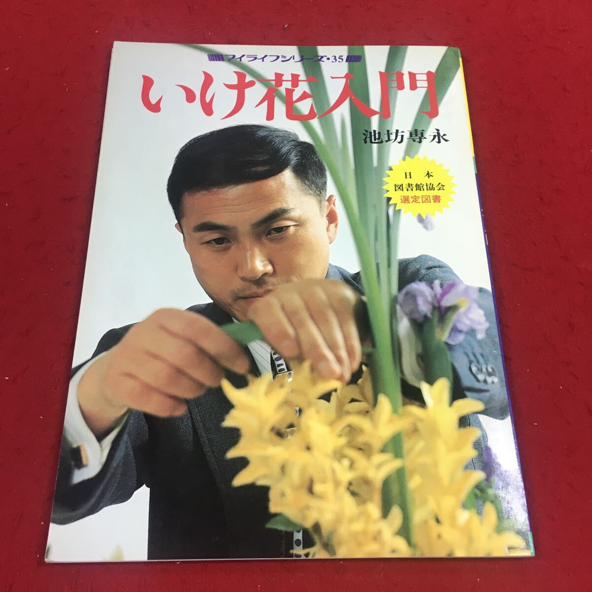 2025年最新】Yahoo!オークション -池坊専永の中古品・新品・未 2025年最新】Yahoo!オークション -池坊専永の中古品・新品・未