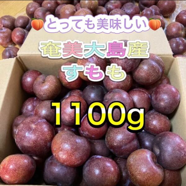 毎年完売♪大好評♪　奄美大島産　すもも　1100g