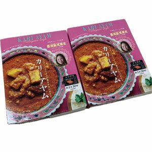 カリーアヤム　カレー　レトルト　エスビー