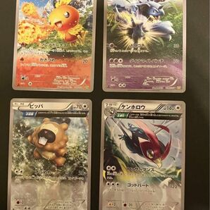 ポケモンカード　ニドクイン　アチャモ　ビッパ　ケンホロウ　XY5　　　各1枚