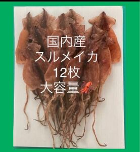 北海道産スルメイカ12枚セット おつまみ　珍味　あたりめ　するめいか　北海するめ　送料込み