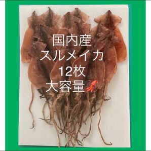 北海道産スルメイカ12枚セット おつまみ　珍味　あたりめ　するめいか　北海するめ　送料込み