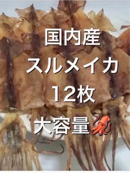 北海道産スルメイカ12枚セット おつまみ　珍味　あたりめ　するめいか　北海するめ　送料込み