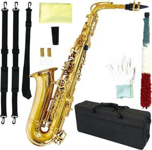 アルトサックス 初心者セット 入門用 E Saxophone 吹奏楽 668