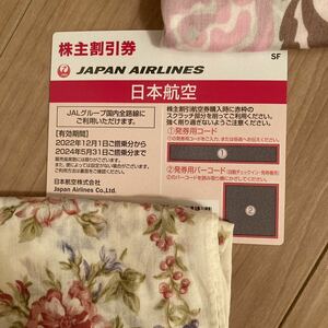 JAL 株主優待券　期限24/5/31