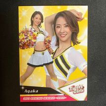 BBM 2023 プロ野球　チアリーダー　阪神タイガース　Tigers Girls Ayaka　華59_画像1